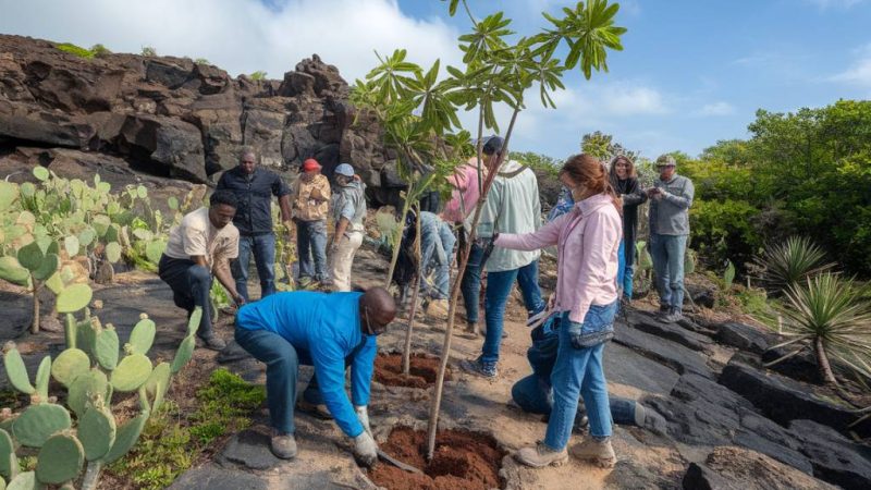 Les initiatives locales qui préservent la biodiversité insulaire